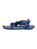 Blue color option, Sold out, Currently selected