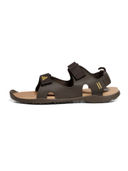 Brown color option, Sold out