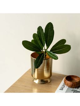 Logam - Aureus Planter