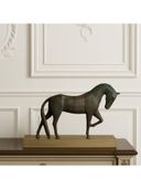 Black color option, Currently selected