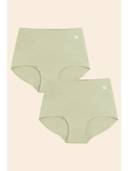 Green color option, Currently selected