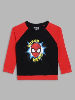 Blue Giraffe - Boys Black Colorblocked Round Neck Full Sleeves Pullover Style Sweatshirt