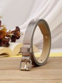 Silver color option, Currently selected