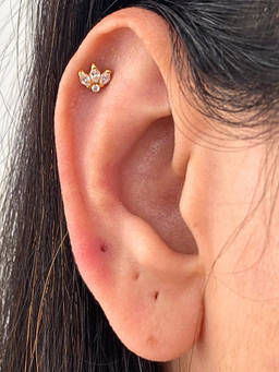 Boldiful - Marquise Helix 18k Gold Vermeil Earstuds 5A Cubic Zirconia Earring