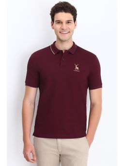 Allen Solly - Men Maroon Textured Polo T-Shirt