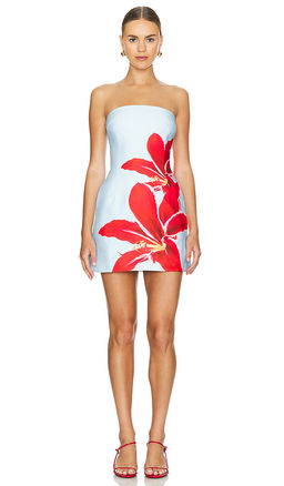 Runaway The Label - Primrose Mini Dress