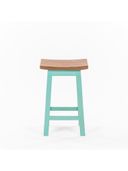 Turquoise color option, Currently selected