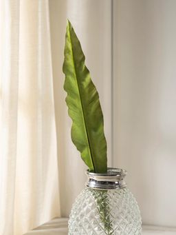 Pure Home + Living - Green Apista Leaf Spray