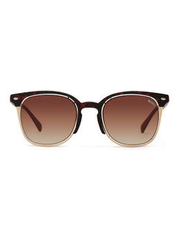 Enrico - Brown UV Protected Clubmaster Sunglasses