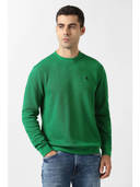 Green color option, Currently selected