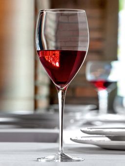 Luigi Bormioli - Linea Magnifico Small Wine Glass for thinKitchen (Pack of 2)