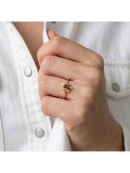Palmonas - 925 Sterling Silver Housefly Flight Ring for Women