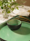 Green color option, Currently selected