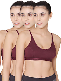 Bodycare - Pack of 3 Sports Bra In Wine Colour