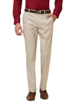 Park Avenue - Men Regular Fit Textured Beige Trouser