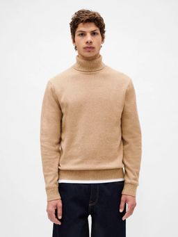 GAP - Men Brown Knitted Solid Sweater