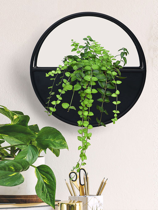Metalsmith Metal Half Moon Wall Hanging Planter Coated with Black Powder