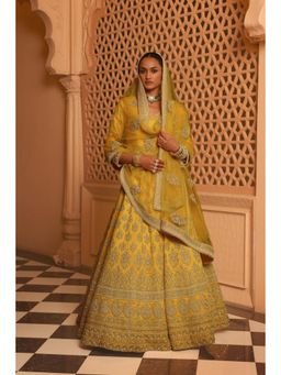 Sheetal Batra - Noorali Mustard Lehenga with Choli and Dupatta (Set of 3)