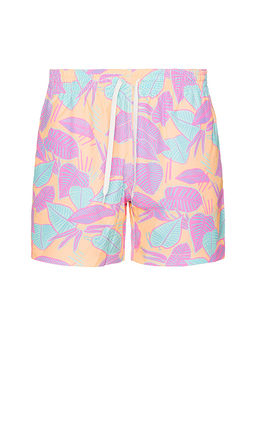 Chubbies - The Posh Palms 5.5 Swim Short