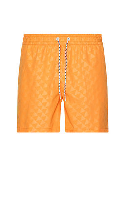 Chubbies - The Carrot Cakes 5.5 Swim Short