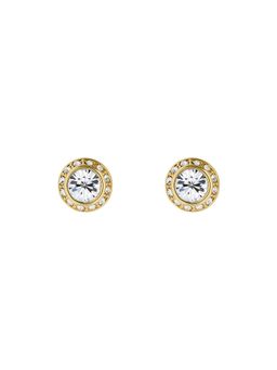 Ted Baker - Clear Crystal Solitaire Sparkle Stud Earrings