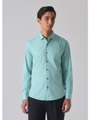 Green color option, Currently selected