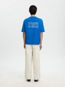 Blue color option, Currently selected