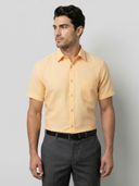 Yellow color option, Currently selected