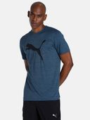 Blue color option, Sold out