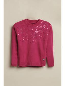 Allen Solly - Pink Acrylic Regular Sweater