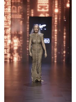 ITRH - Wild Cat Gown