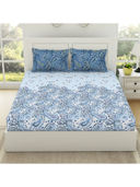 Blue color option, Sold out