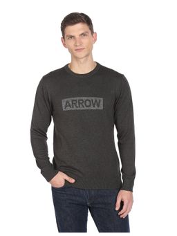 Arrow - Sports Men Black Crew Neck Knit Logo Sweater