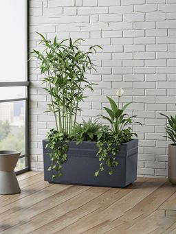 Kuber Industries - Rotomould Big Size Planter 25 Inch Rectangular Flower Pot Trow - Grey