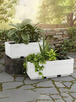Kuber Industries - Rotomould Planter 20 Inch Rectangular Flower Pot for Trow -White (Pack of 2)