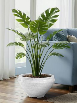 Kuber Industries - Round Rotomould 15 Inch Flower Pot with Drainage Rib Tasala -White