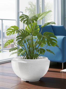 Kuber Industries - Rotomould 19 Inch Big Size Flower Pot with Drainage Rib Tasala -White