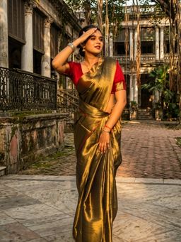 AAKAR - Sunehri Kiran Gold Handloom Tissue Saree Without Blouse