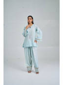 Blue color option, Currently selected