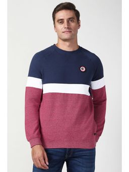 Peter England - Men Navy Blue Colorblock Crew Neck Sweatshirt