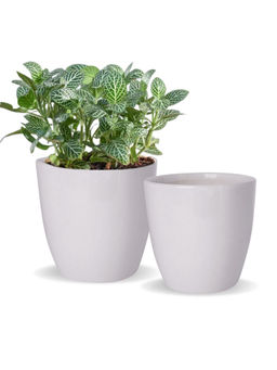 Ecofynd - 2 White Ceramic Plant Pots