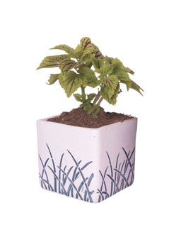 Ecofynd - 1, 4 inches Ceramic Plant Pots