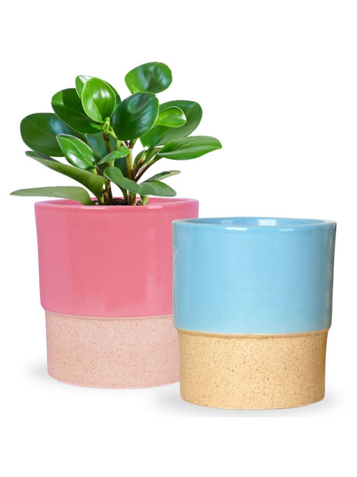 Ecofynd Pack of 2 Ceramic Plant Pots Multicolor