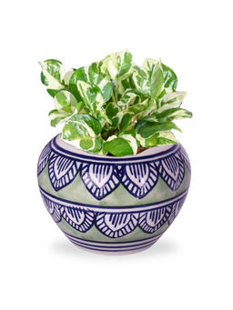 Ecofynd - 1 Green Ceramic Plant Pots