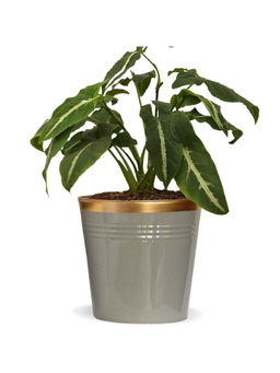 Ecofynd - 10 inches Grey Round Bucket Metal Planters