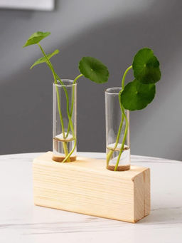 Ecofynd - 2 Test Tube Planter with Wooden Holder Transparent