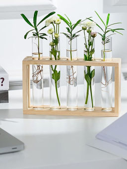 Ecofynd - 4 Test Tube Planter with Wooden Holder Transparent