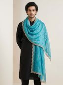Aqua color option, Currently selected