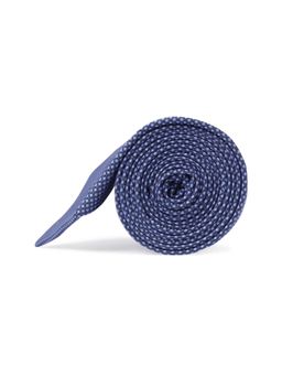 Peter England - Mens Blue Check Tie