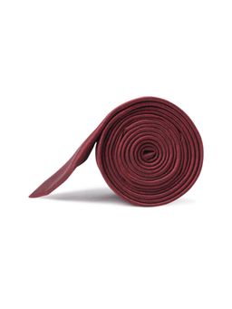 Peter England - Mens Maroon Textured Tie